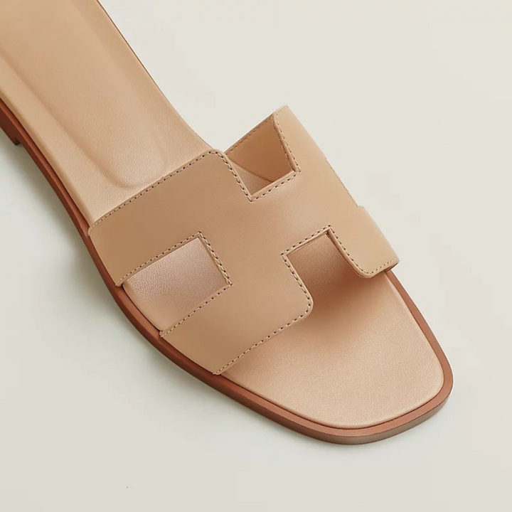 ARIS | Exclusive Limited Edition