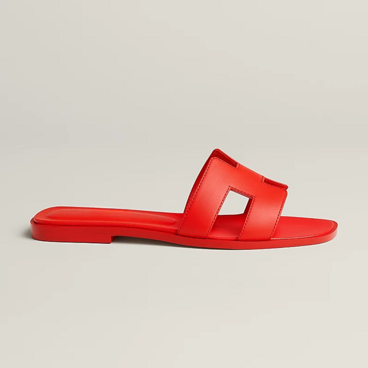ARIS | Exclusive Limited Edition