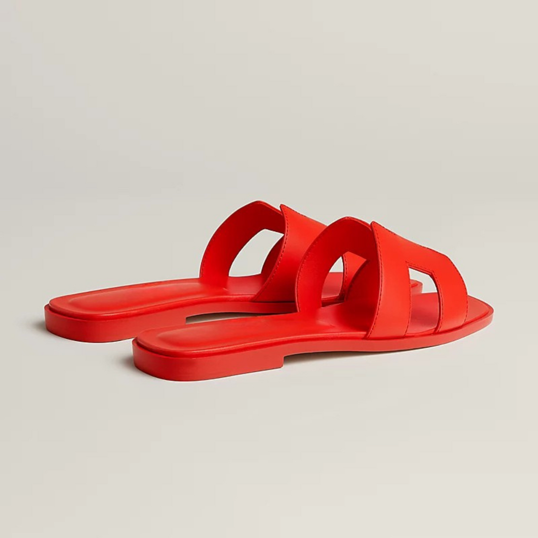 ARIS | Exclusive Limited Edition