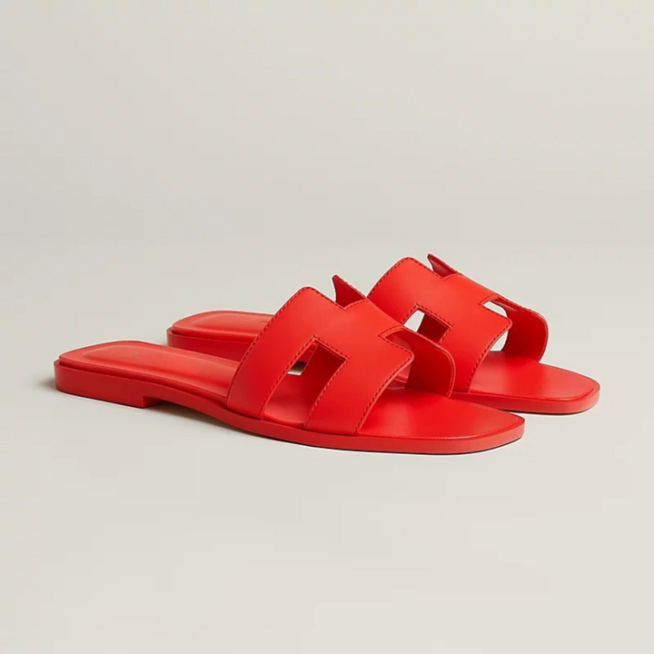 ARIS | Exclusive Limited Edition
